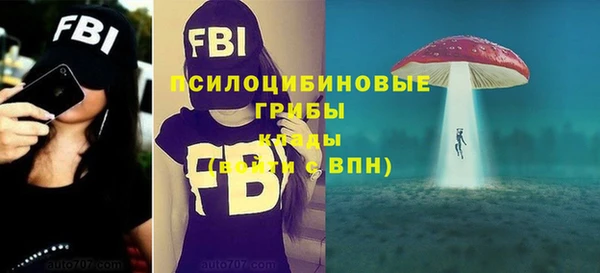 ешки Навашино