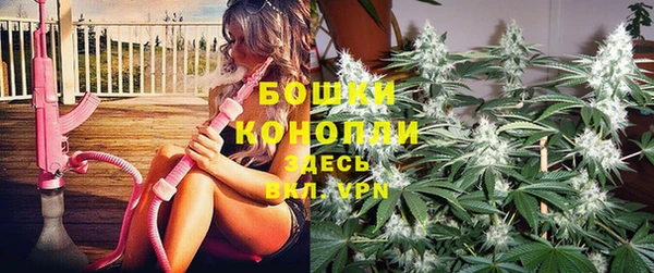 ГАЛЛЮЦИНОГЕННЫЕ ГРИБЫ Нефтегорск